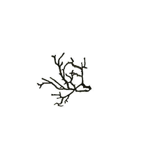 Dead Tree Leaves (Mesh)